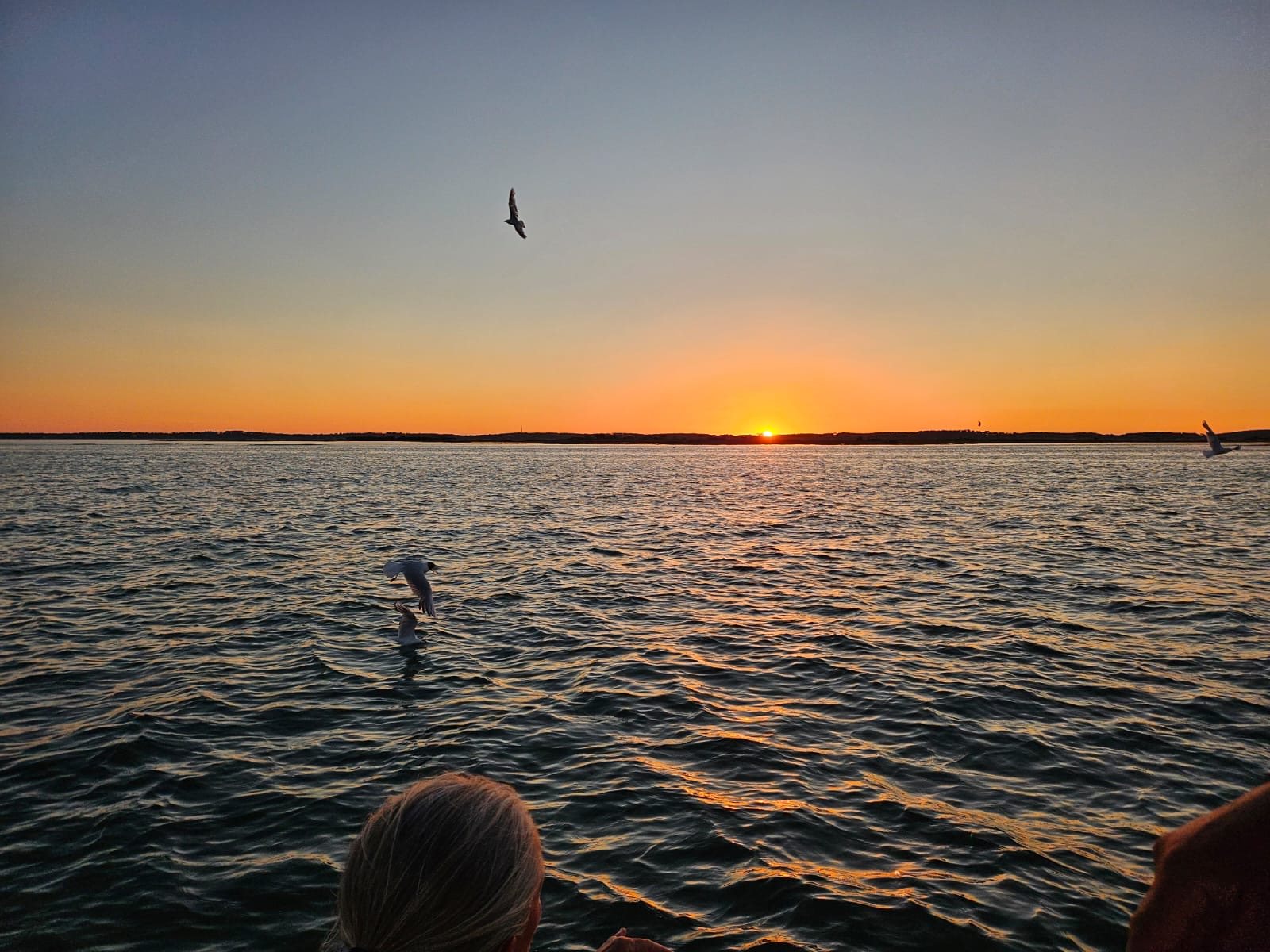 Bassin d’Arcachon — photo 2
