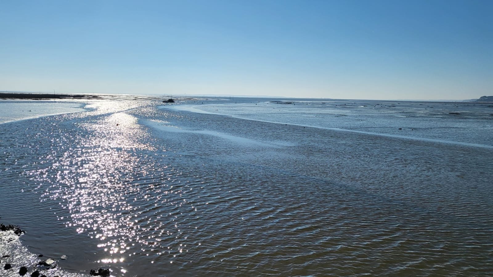 Bassin d’Arcachon — photo 12
