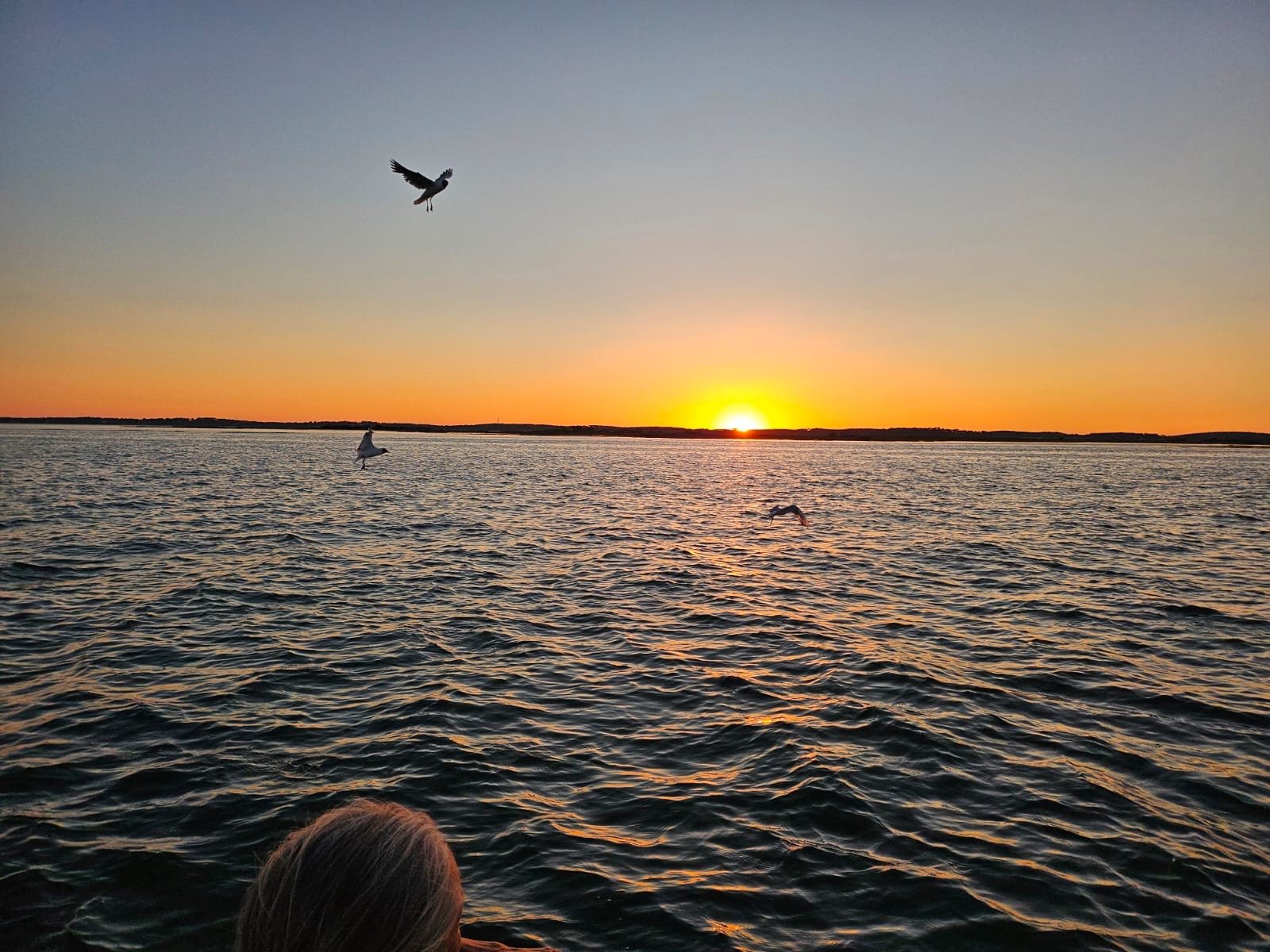 Bassin d’Arcachon — photo 25