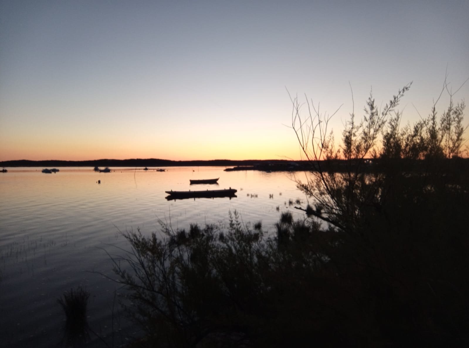 Bassin d’Arcachon — photo 30