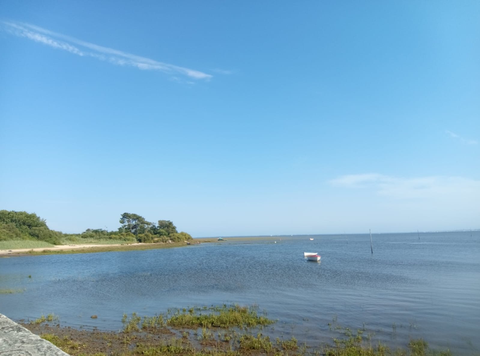 Bassin d’Arcachon — photo 47