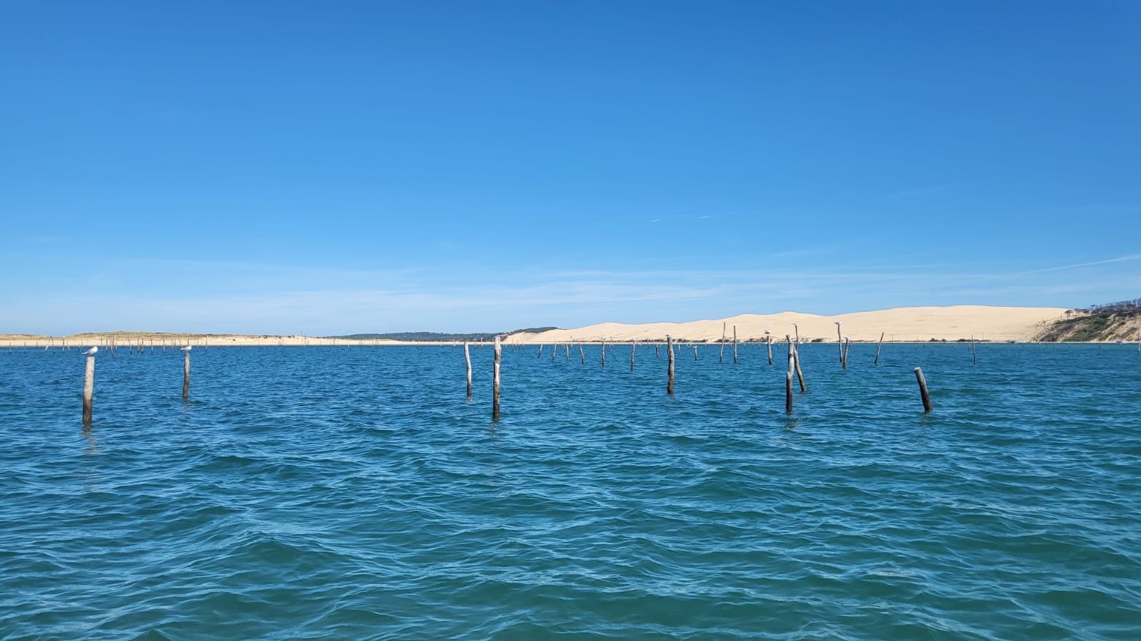 Bassin d’Arcachon — photo 61
