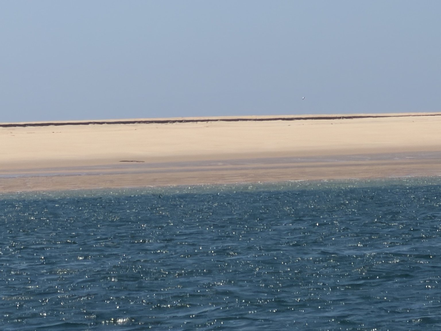 Bassin d’Arcachon — photo 78
